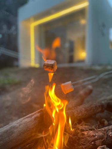 whatsapp_image_2024-01-10_at_6